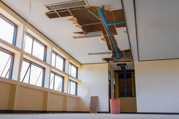 Best Sewage cleanup and water damage restoration  in Troy, TN