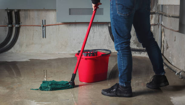 Best Water damage mitigation services  in Troy, TN