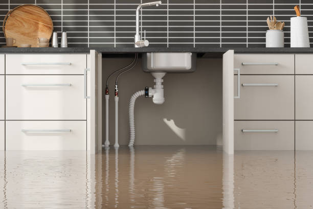 Carpet water damage restoration in Troy, TN